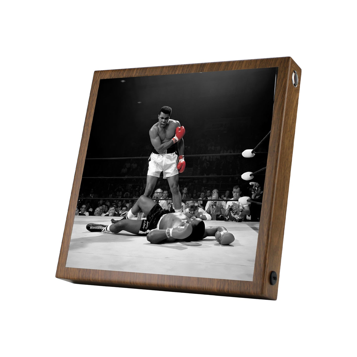 Muhammad Ali The Greatest Fight