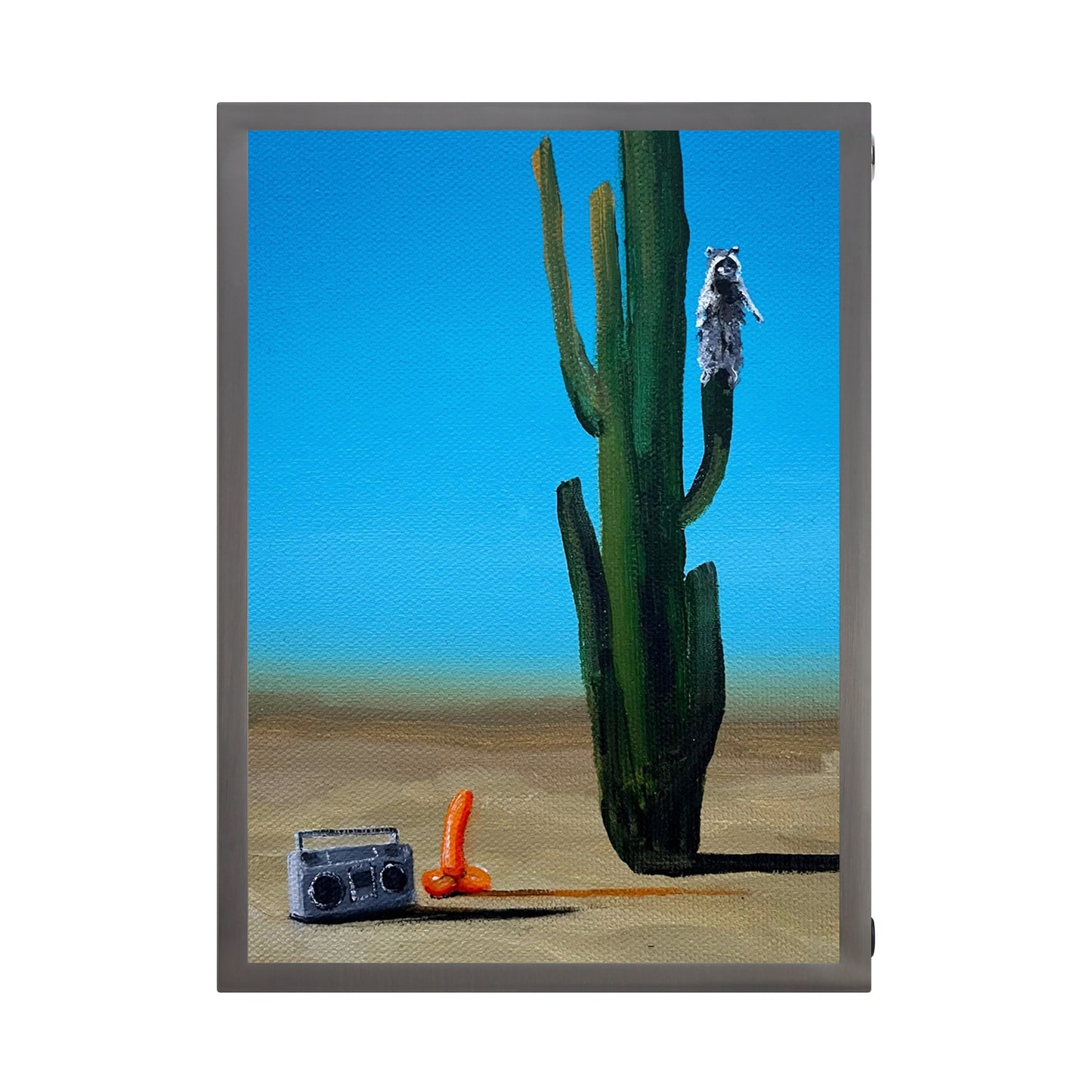 Raccoon and cactus