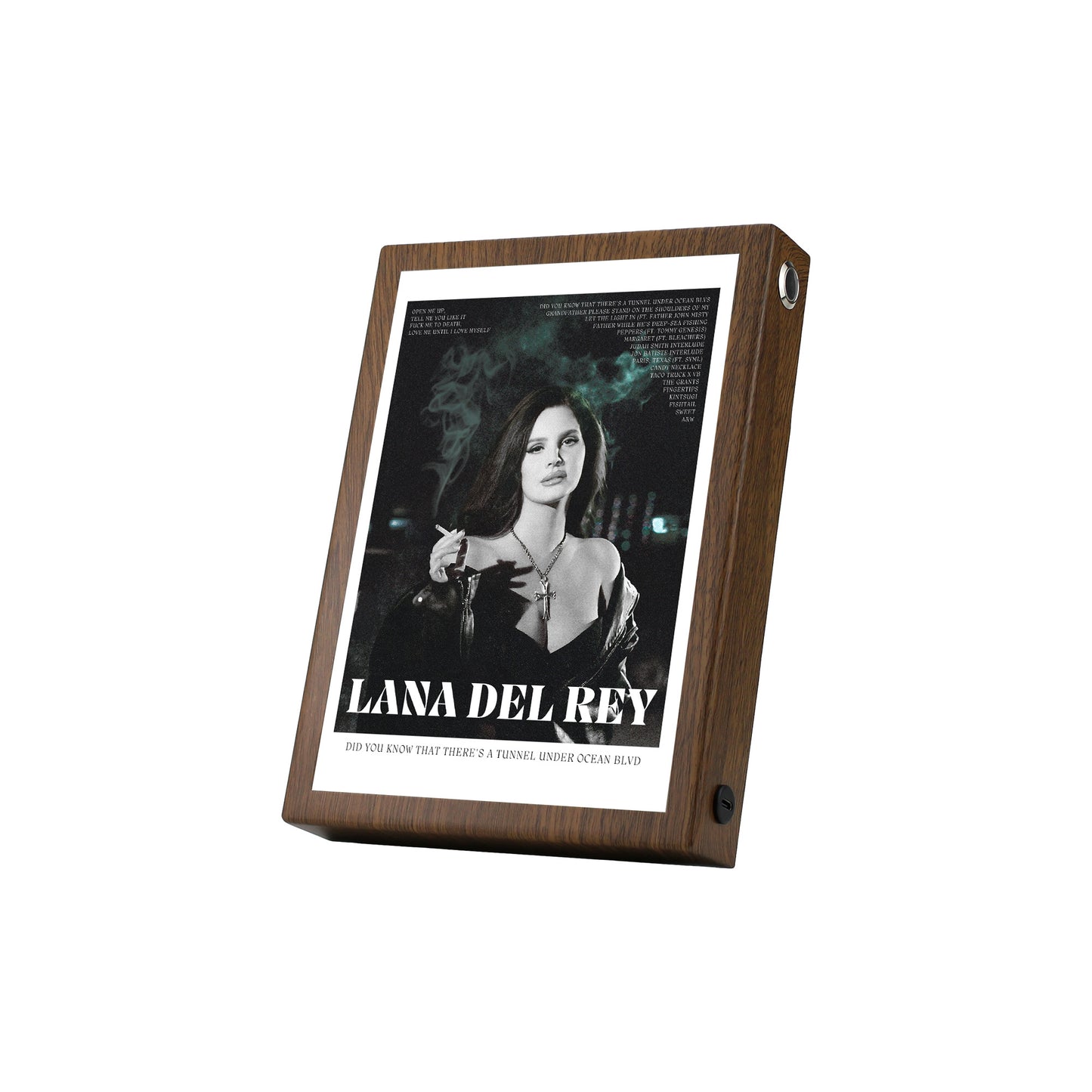 Lana Del Rey's 'Tunnel Under Ocean Blvd'