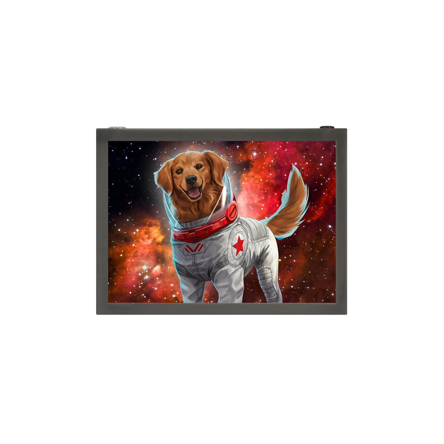 Cosmo the Spacedog