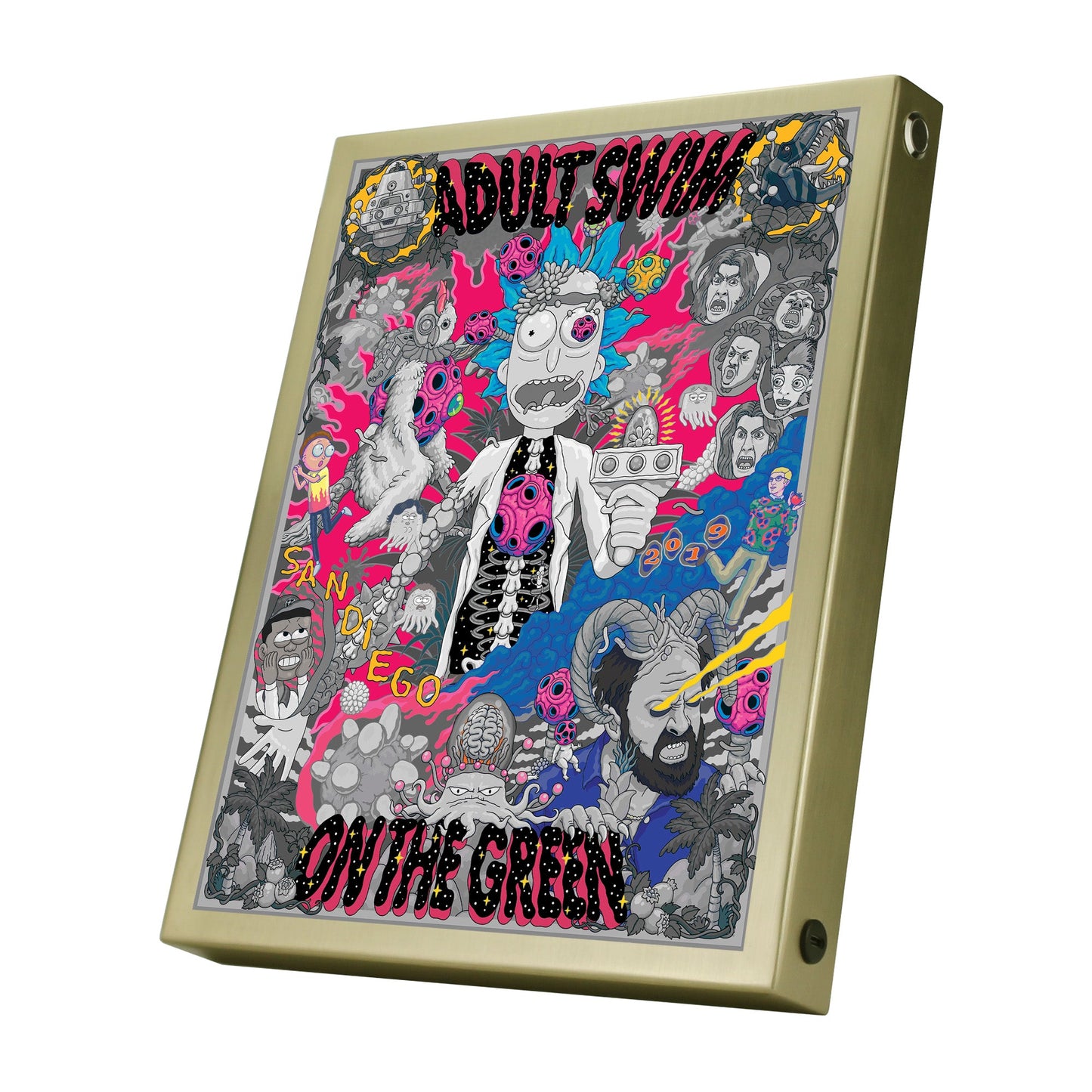 Rick and Morty-San Diago Adult Swin on the Green