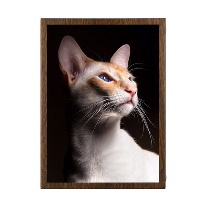 Cat Portrait